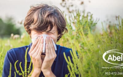 Improving Indoor Air Quality for People with Pollen Allergies